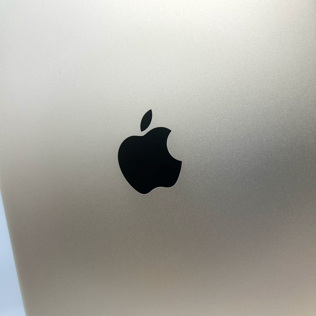 Apple iPad Air 2 128GB Wi-Fi + Cellular 4G Oro A1567 9.7 Ottime Condizioni